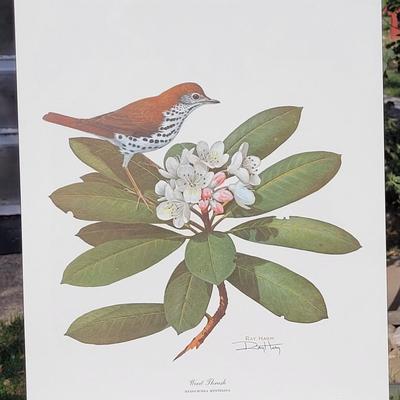Signed Ray Harm 'Wood Thrush' Lithograph
