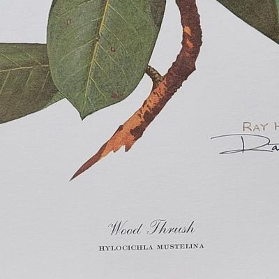 Signed Ray Harm 'Wood Thrush' Lithograph