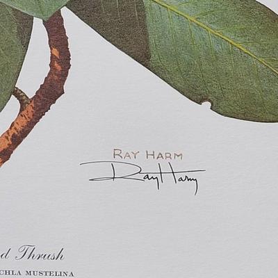 Signed Ray Harm 'Wood Thrush' Lithograph