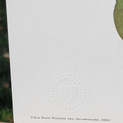 Signed Ray Harm 'Rufous-sided Towhee' Lithograph
