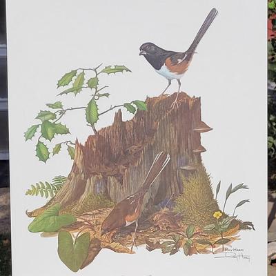 Signed Ray Harm 'Rufous-sided Towhee' Lithograph