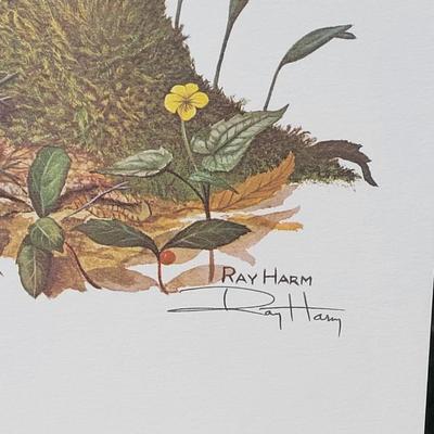 Signed Ray Harm 'Rufous-sided Towhee' Lithograph