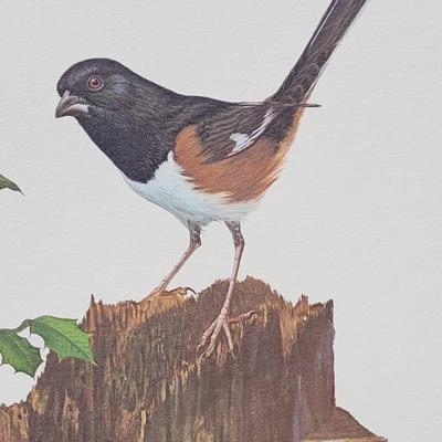 Signed Ray Harm 'Rufous-sided Towhee' Lithograph