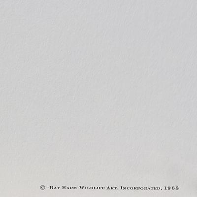 Signed Ray Harm 'Cedar Waxwing' Lithograph