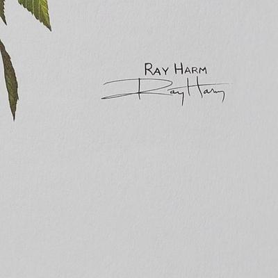 Signed Ray Harm 'Cedar Waxwing' Lithograph