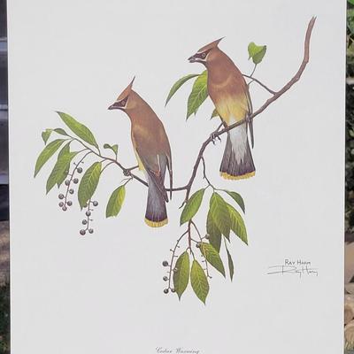 Signed Ray Harm 'Cedar Waxwing' Lithograph