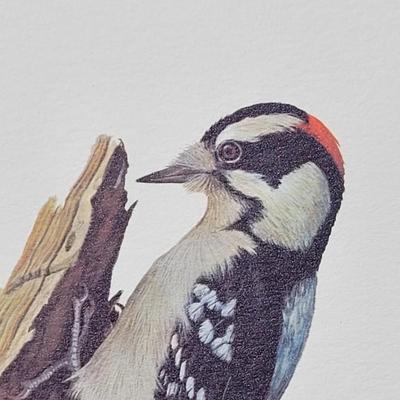Signed Ray Harm 'Downy Woodpecker' Lithograph