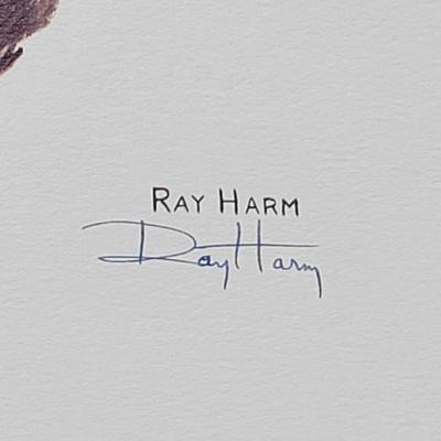 Signed Ray Harm 'Downy Woodpecker' Lithograph