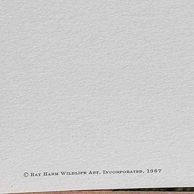 Signed Ray Harm 'Downy Woodpecker' Lithograph