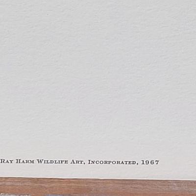 Signed Ray Harm 'Red-Winged Blackbird' Lithograph