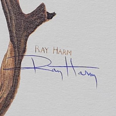 Signed Ray Harm 'Red-Winged Blackbird' Lithograph