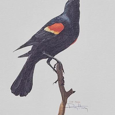 Signed Ray Harm 'Red-Winged Blackbird' Lithograph