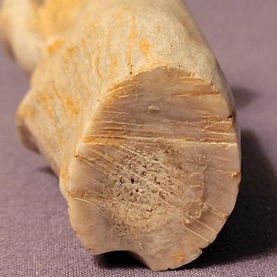 Carves Horn Squirrel on a Tree Stump