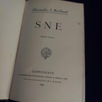 Antique Alexander Lange Kielland Novels (D-BBL)