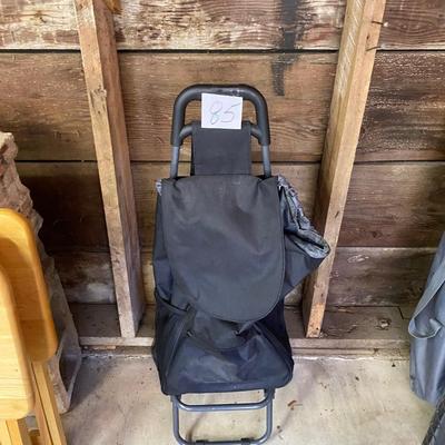 Backpack on Wheels