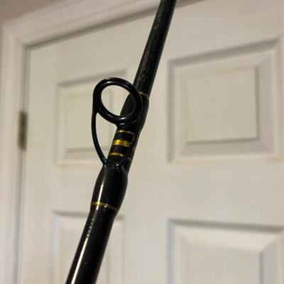 S1874 Penn â€œCarnageâ€ 10 Foot Graphite Fishing Rod