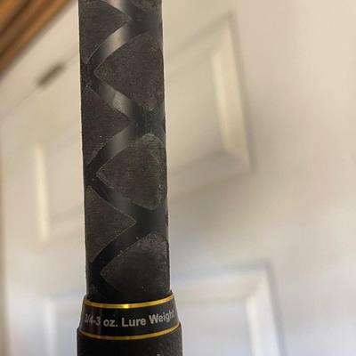 S1874 Penn â€œCarnageâ€ 10 Foot Graphite Fishing Rod