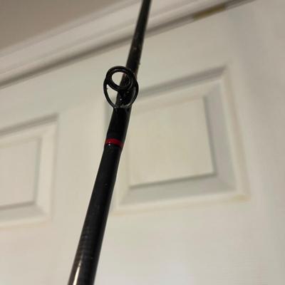 S1906 Lamiglas 10 Foot Graphite Fishing Rod.  Model: GSB 1321M