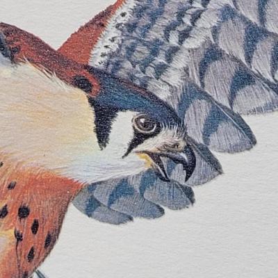 Signed Ray Harm 'Kestrel' Lithograph