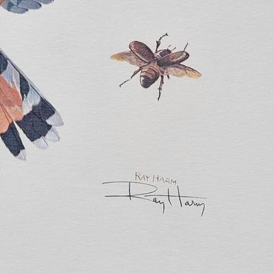 Signed Ray Harm 'Kestrel' Lithograph