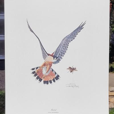 Signed Ray Harm 'Kestrel' Lithograph