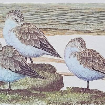 Signed Ray Harm 'Little Blue Heron' Lithograph