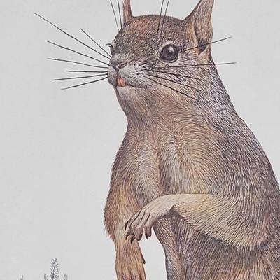 Signed Ray Harm 'California Ground Squirrel' Lithograph