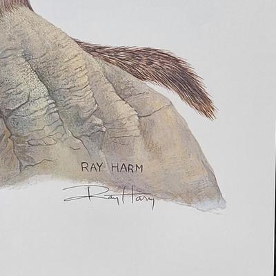 Signed Ray Harm 'California Ground Squirrel' Lithograph