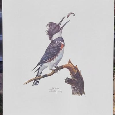 Signed Ray Harm  'Belted Kingfisher' Lithograph