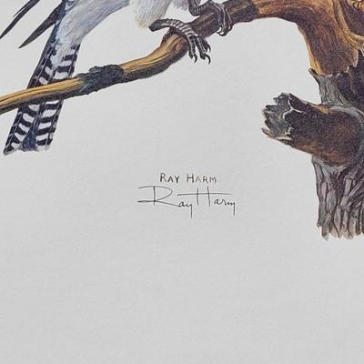 Signed Ray Harm  'Belted Kingfisher' Lithograph