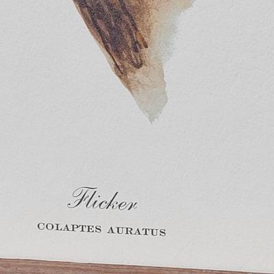 Signed Ray Harm 'Flicker' Lithograph