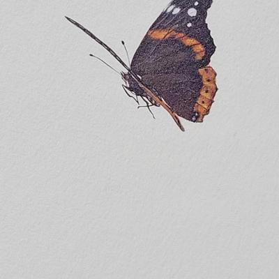 Signed Ray Harm 'Flicker' Lithograph
