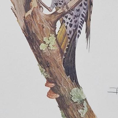 Signed Ray Harm 'Flicker' Lithograph