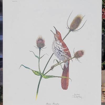 Signed Ray Harm 'Brown Thrasher' Lithograph