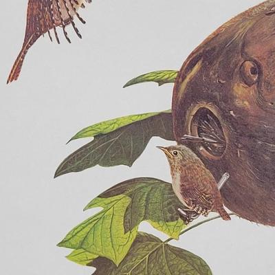 Signed Ray Harm 'House Wren' Lithograph