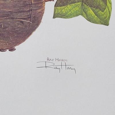 Signed Ray Harm 'House Wren' Lithograph