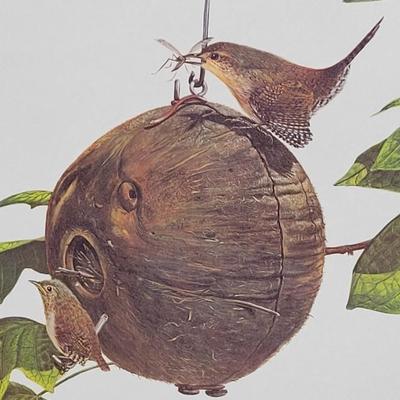 Signed Ray Harm 'House Wren' Lithograph