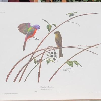 Signed Ray Harm 'Painted Bunting' Lithograph