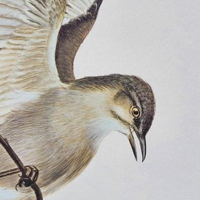 Signed Ray Harm 'Mockingbird' Lithograph