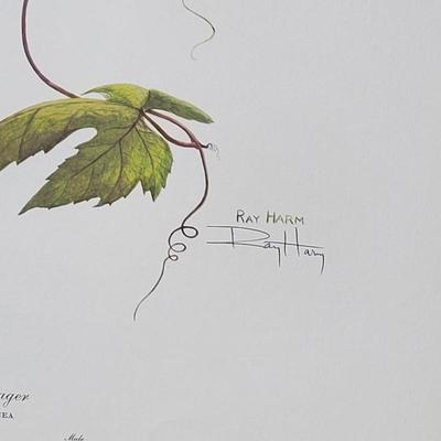 Signed Ray Harm 'Scarlet Tanager' Lithograph