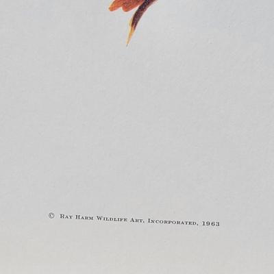 Signed Ray Harm 'Scarlet Tanager' Lithograph