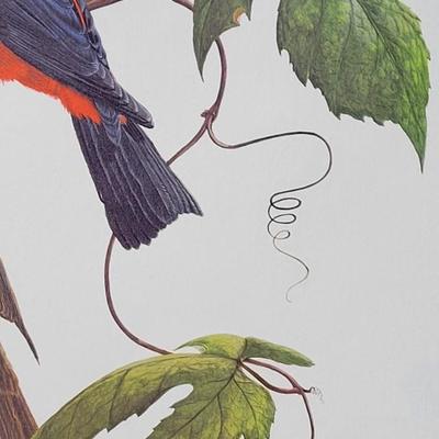 Signed Ray Harm 'Scarlet Tanager' Lithograph