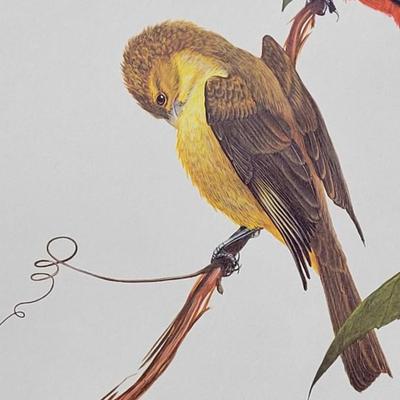 Signed Ray Harm 'Scarlet Tanager' Lithograph