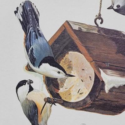 Signed Ray Harm 'White Breasted Nuthatch, Tufted Titmouse, Carolina Chickadee' Lithograph