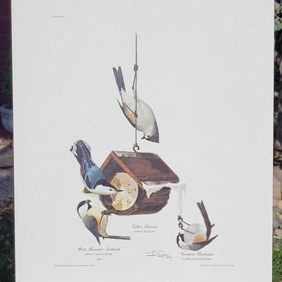 Signed Ray Harm 'White Breasted Nuthatch, Tufted Titmouse, Carolina Chickadee' Lithograph