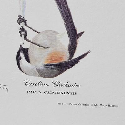 Signed Ray Harm 'White Breasted Nuthatch, Tufted Titmouse, Carolina Chickadee' Lithograph