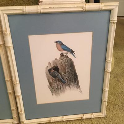 Pair of vintage Bird prints