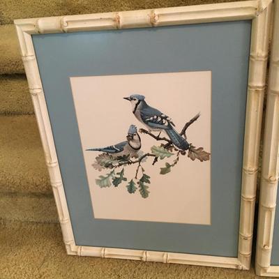 Pair of vintage Bird prints