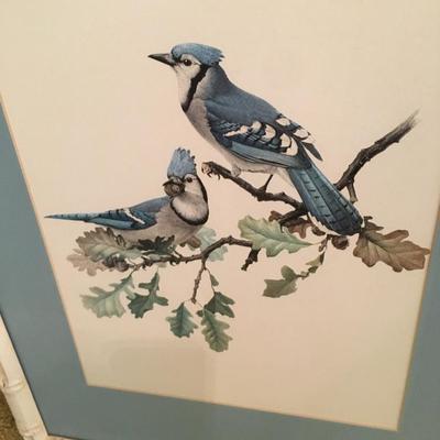 Pair of vintage Bird prints