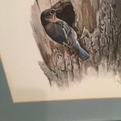 Pair of vintage Bird prints